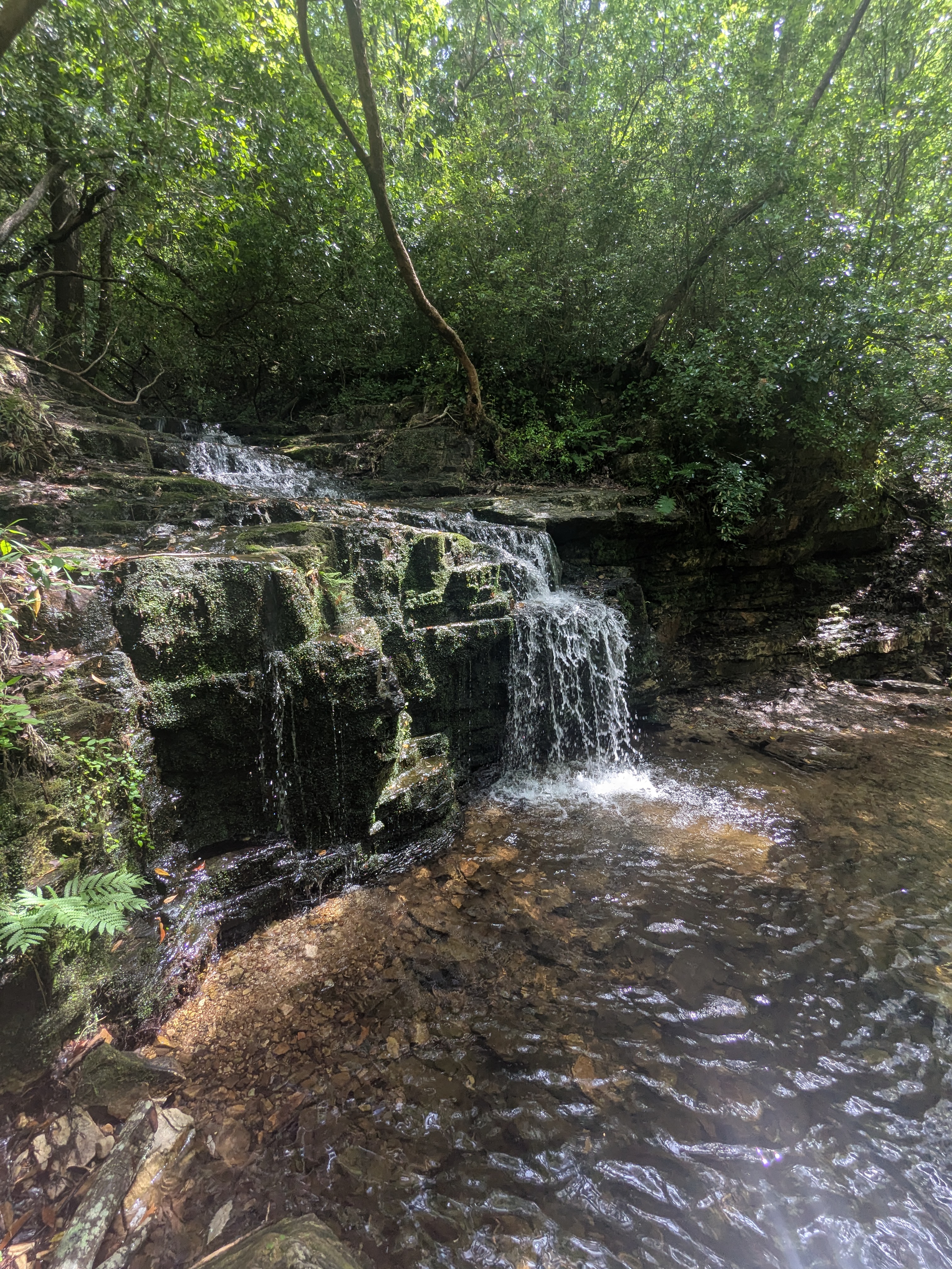 Cascading Falls at FD Roosevelt State Park